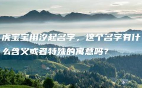 虎宝宝用汐起名字，这个名字有什么含义或者特殊的寓意吗？