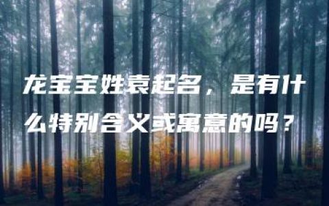 龙宝宝姓袁起名，是有什么特别含义或寓意的吗？