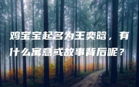 鸡宝宝起名为王奕晗，有什么寓意或故事背后呢？