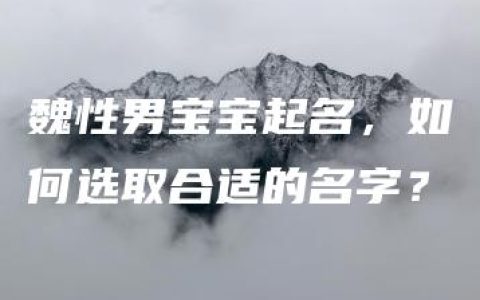 魏性男宝宝起名，如何选取合适的名字？