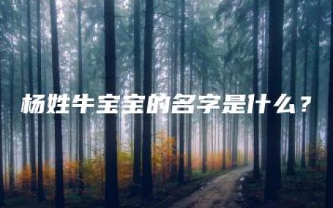 杨姓牛宝宝的名字是什么？