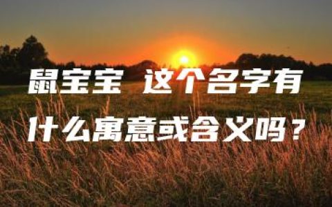 鼠宝宝燊这个名字有什么寓意或含义吗？