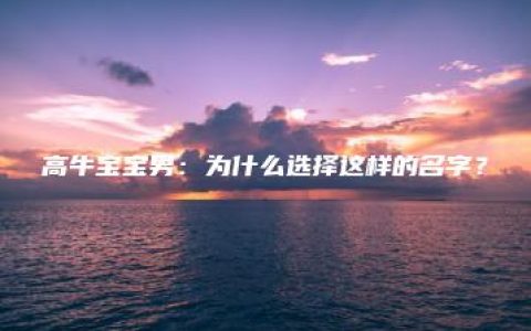 高牛宝宝男：为什么选择这样的名字？