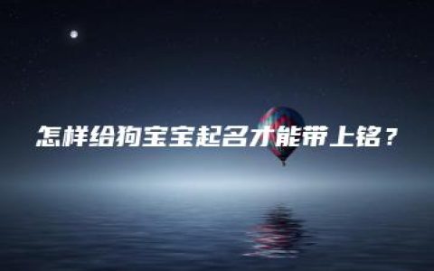 怎样给狗宝宝起名才能带上铭？