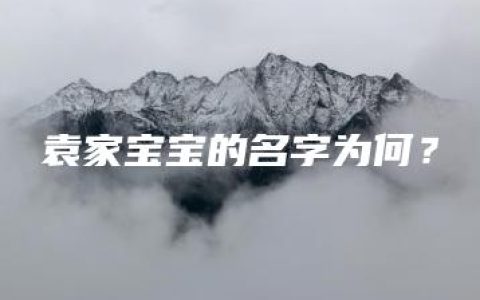 袁家宝宝的名字为何？