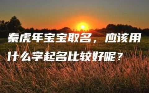 秦虎年宝宝取名，应该用什么字起名比较好呢？