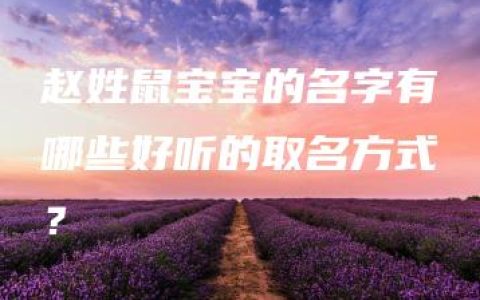 赵姓鼠宝宝的名字有哪些好听的取名方式？