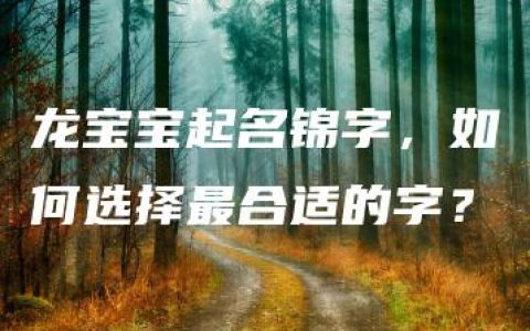 龙宝宝起名锦字，如何选择最合适的字？