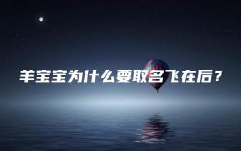 羊宝宝为什么要取名飞在后？