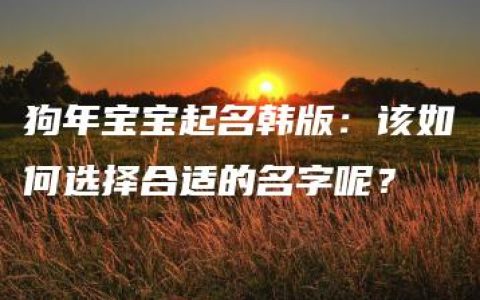 狗年宝宝起名韩版：该如何选择合适的名字呢？