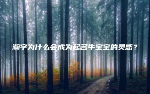 瀚字为什么会成为起名牛宝宝的灵感？