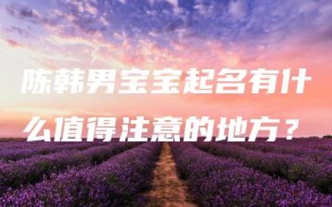 陈韩男宝宝起名有什么值得注意的地方？