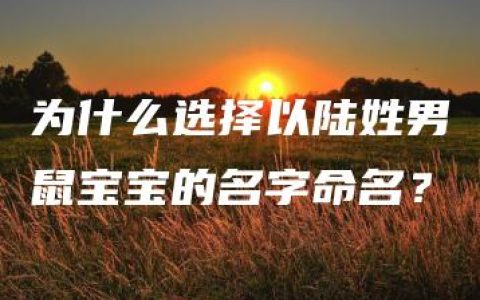 为什么选择以陆姓男鼠宝宝的名字命名？