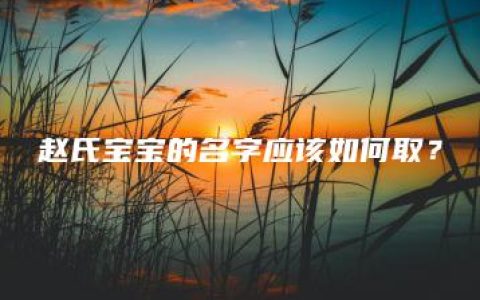 赵氏宝宝的名字应该如何取？