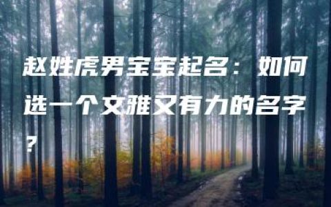 赵姓虎男宝宝起名：如何选一个文雅又有力的名字？