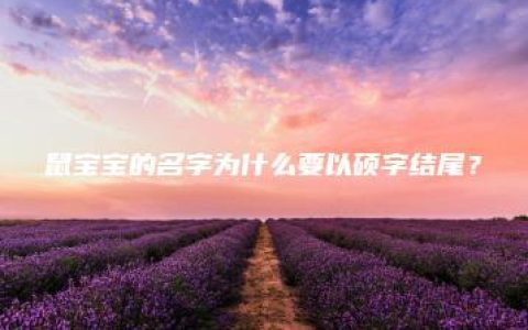 鼠宝宝的名字为什么要以硕字结尾？