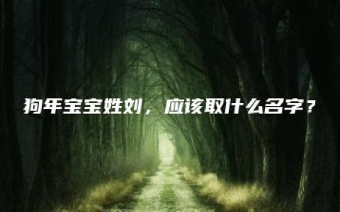 狗年宝宝姓刘，应该取什么名字？