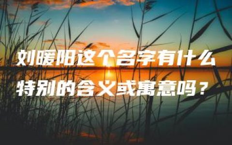 刘暖阳这个名字有什么特别的含义或寓意吗？