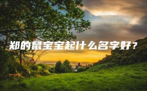 郑的鼠宝宝起什么名字好？