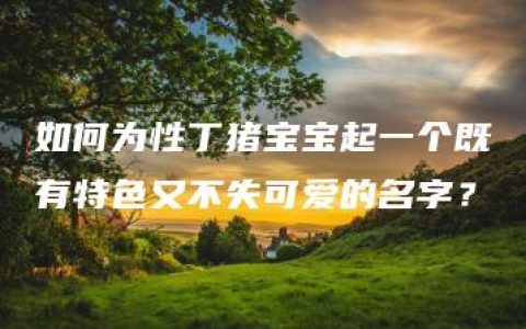 如何为性丁猪宝宝起一个既有特色又不失可爱的名字？