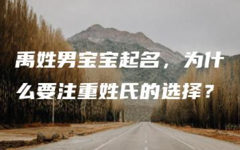 禹姓男宝宝起名，为什么要注重姓氏的选择？