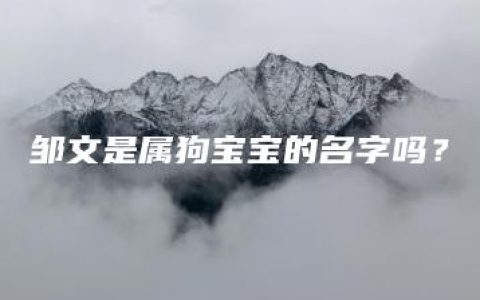 邹文是属狗宝宝的名字吗？