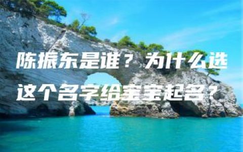 陈振东是谁？为什么选这个名字给宝宝起名？