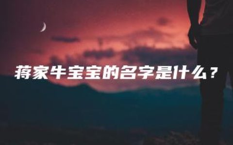 蒋家牛宝宝的名字是什么？