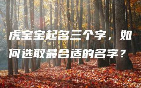 虎宝宝起名三个字，如何选取最合适的名字？