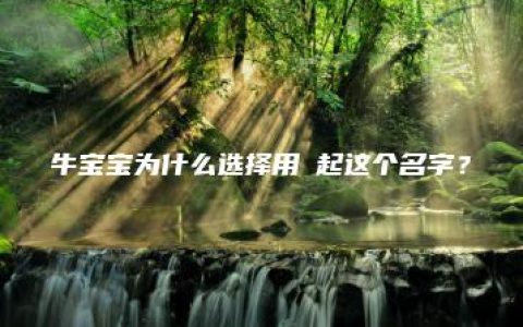 牛宝宝为什么选择用玥起这个名字？