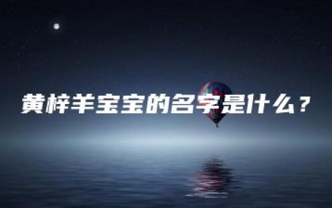 黄梓羊宝宝的名字是什么？