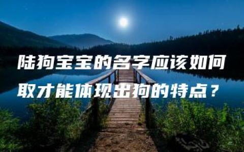 陆狗宝宝的名字应该如何取才能体现出狗的特点？