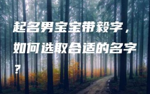 起名男宝宝带毅字，如何选取合适的名字？