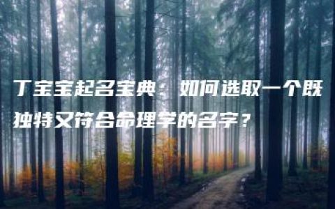 丁宝宝起名宝典：如何选取一个既独特又符合命理学的名字？