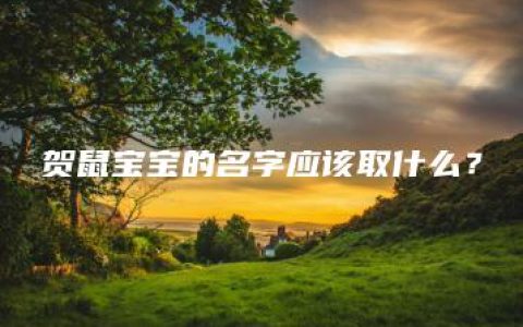 贺鼠宝宝的名字应该取什么？