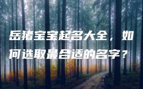 岳猪宝宝起名大全，如何选取最合适的名字？