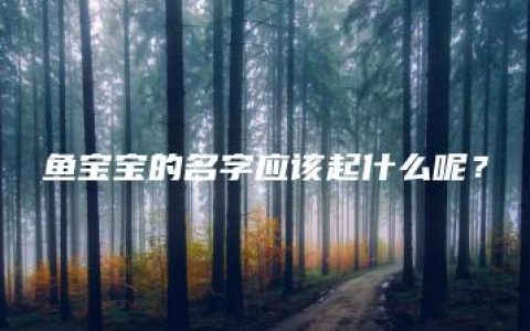 鱼宝宝的名字应该起什么呢？