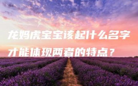 龙妈虎宝宝该起什么名字才能体现两者的特点？