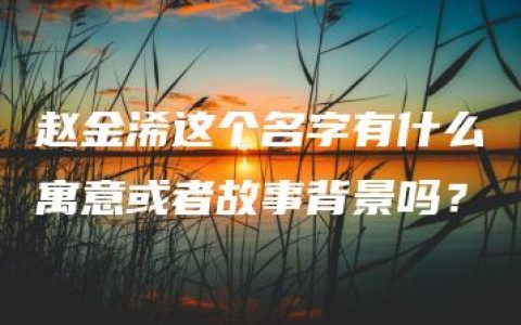 赵金浠这个名字有什么寓意或者故事背景吗？