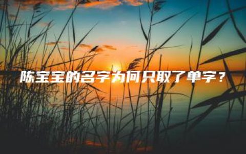 陈宝宝的名字为何只取了单字？