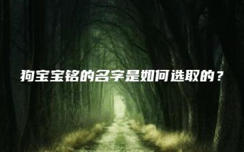 狗宝宝铭的名字是如何选取的？