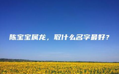 陈宝宝属龙，取什么名字最好？