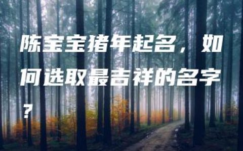 陈宝宝猪年起名，如何选取最吉祥的名字？