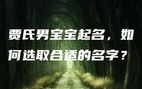 贾氏男宝宝起名，如何选取合适的名字？