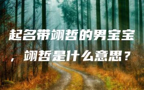 起名带翊哲的男宝宝，翊哲是什么意思？