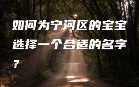 如何为宁河区的宝宝选择一个合适的名字？