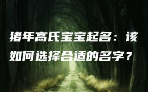 猪年高氏宝宝起名：该如何选择合适的名字？