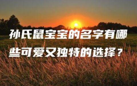 孙氏鼠宝宝的名字有哪些可爱又独特的选择？