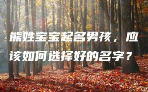 熊姓宝宝起名男孩，应该如何选择好的名字？