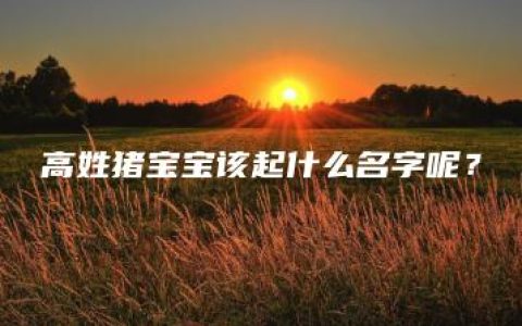 高姓猪宝宝该起什么名字呢？